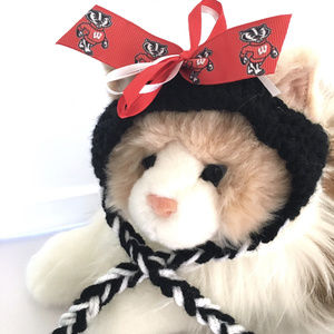 University of Wisconsin BADGERS Handmade Cat Hat *NEW*